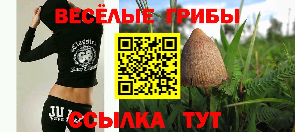 Хасавюрт  Галлюциногенные грибы Psilocybe  Вход с VPN  Галлюциногенные грибы прущие грибы 